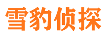 宁波调查公司